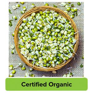 Buy Fresho Organic Sprouts Moong Green O