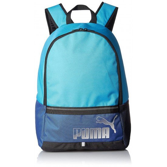 Puma 23 Ltrs Blue Casual Backpack (74413