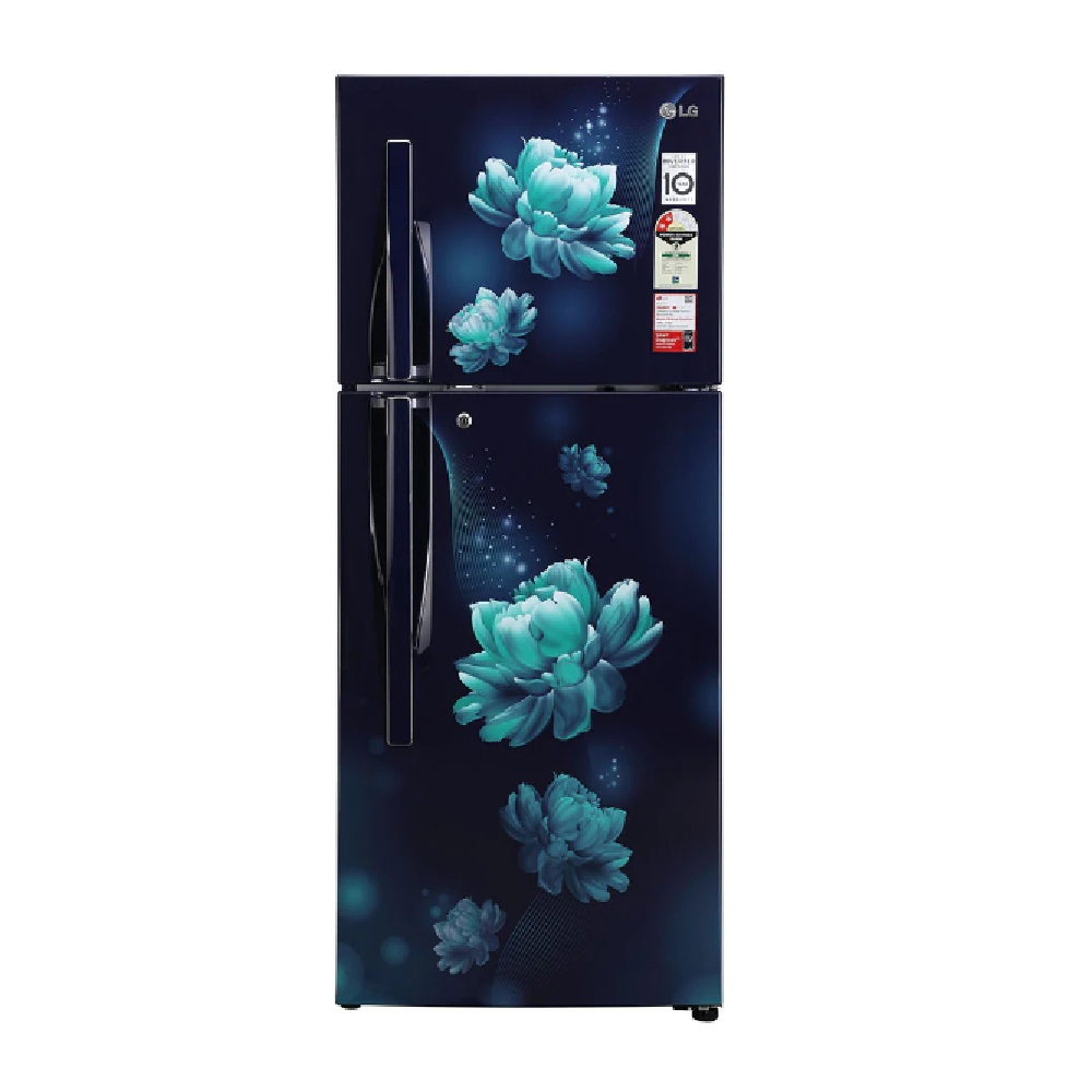 LG 260L 2 Star Frost Free Double Door Re