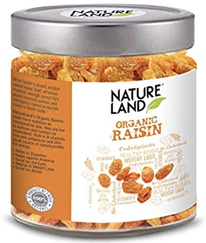 Natureland Organics Raisins / Kismis 250