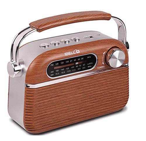 iBELL FM700BT Portable FM Radio with Blu